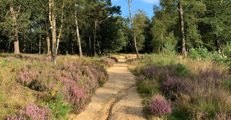 Blogfoto Welke woorden van vroeger bepalen nog jouw leven?